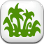 Jungle